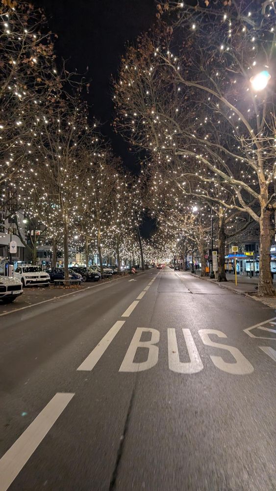 Die Bäume auf dem Kurfürstendamm in Berlin leuchten des Nachts in der Weihnachtsbeleuchtung.