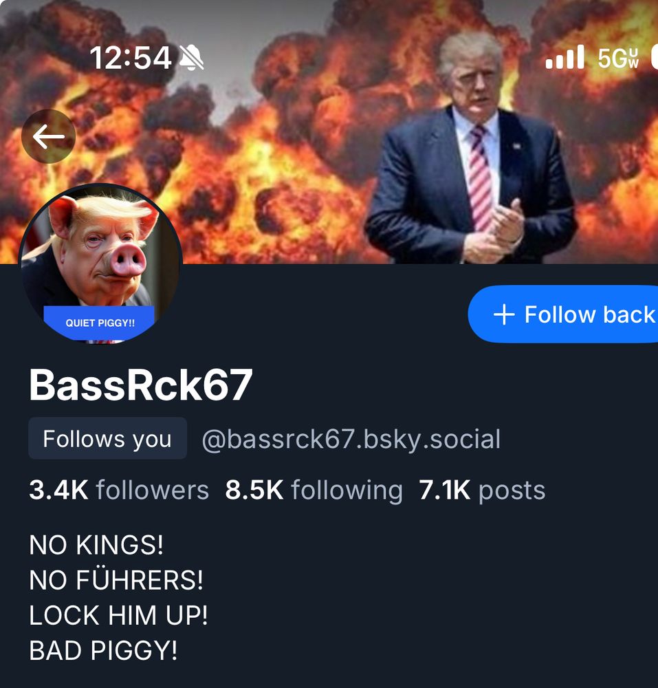 screenshot of a blue wave lib page, bio says:

NO KINGS!
NO FÜHRERS!
LOCK HIM UP!
BAD PIGGY!

header isa picture of trump walking away from flames