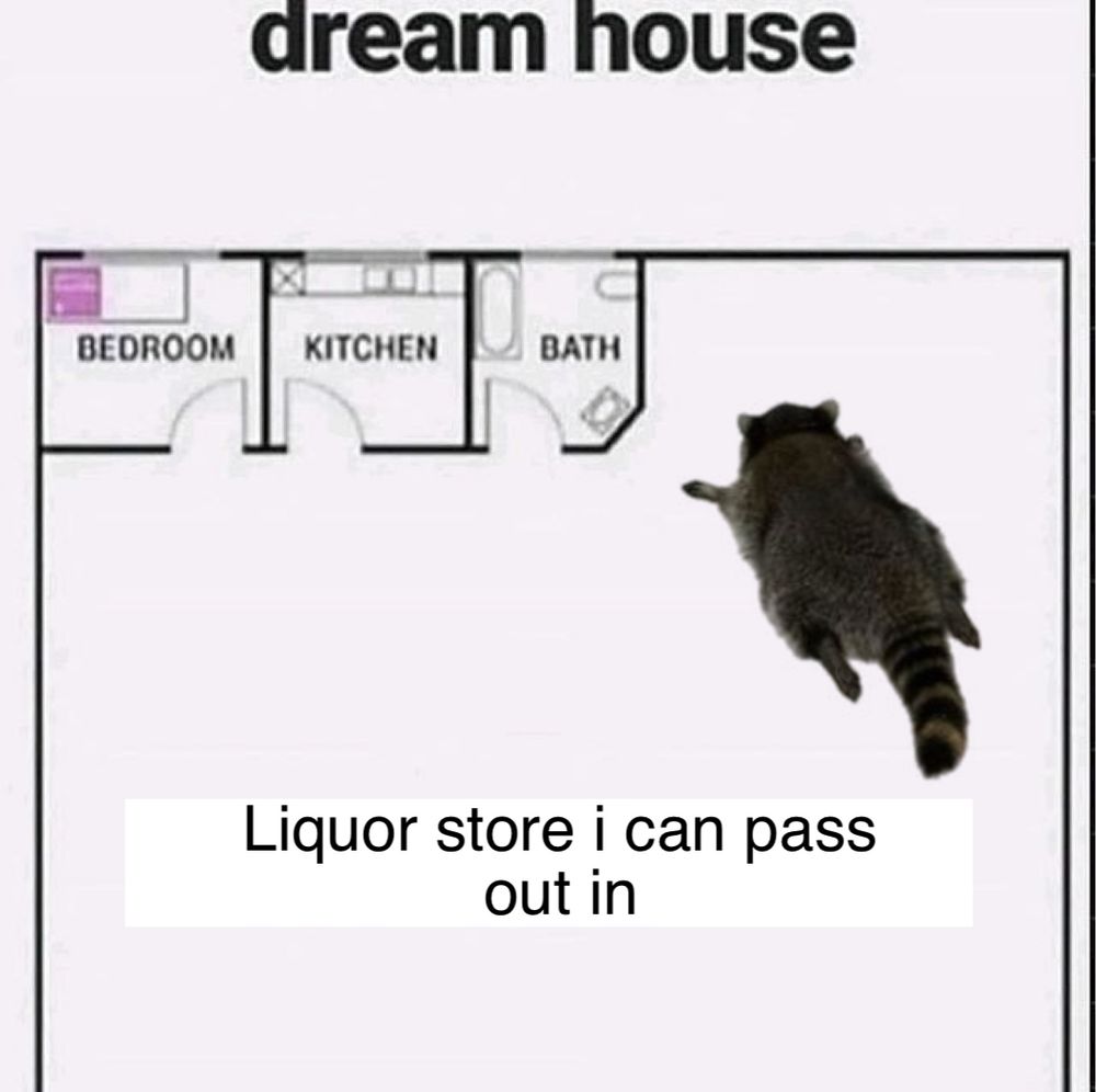 dream house

architectural plan

small bedroom, kitchen, bath

huge room that says “liquor store i can pass out in”
(picture of the raccoon that passed out in the liquor store bathroom)