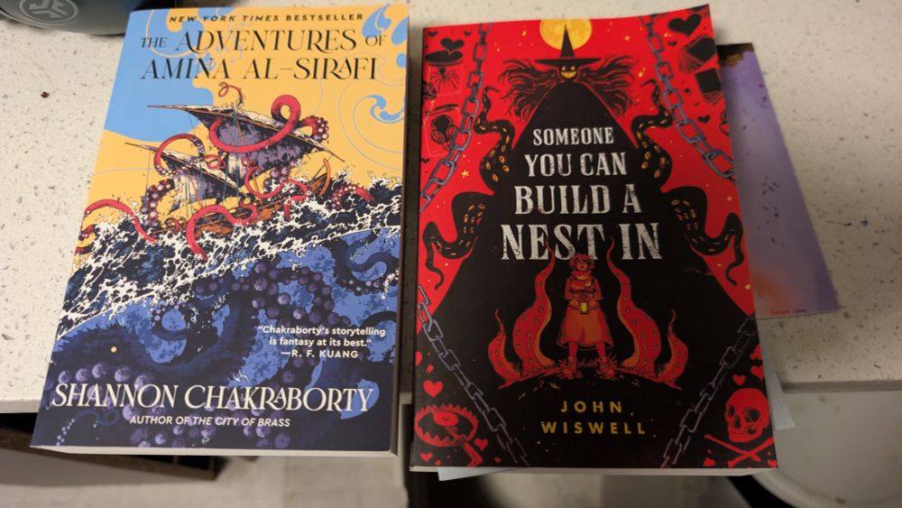 two books
"the adventures of Amina al-sirafi" 
&
"someone you can build a nest in"