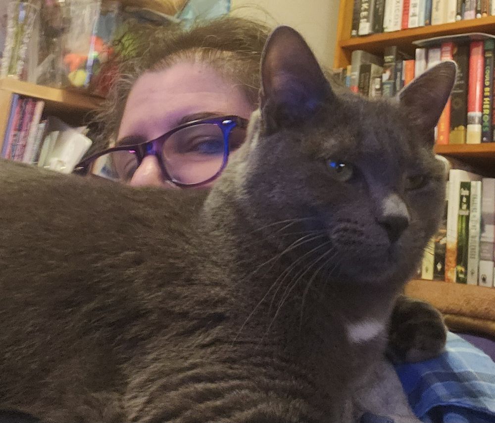 Gray cat with a white patch on her chest, perched high on a person who's sitting in front of a bookshelf wearing purple-framed glasses