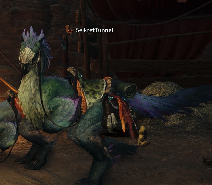 Picture of a seikret in Monster Hunter Wilds nicknamed "Seikret tunnel"