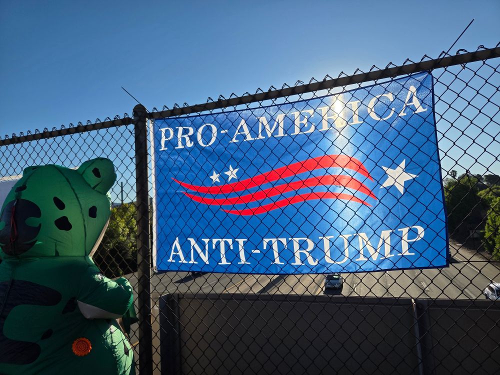 Pro America, anti Trump with 🐸 