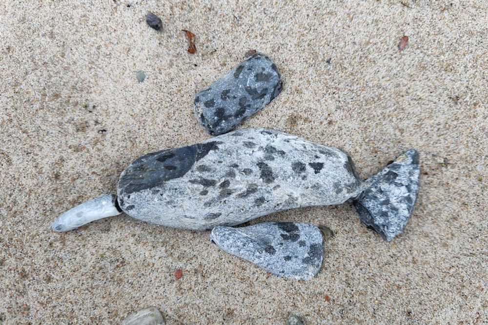 Sand, darauf liegen verschiedene Steine, die wie ein Fisch angeordnet sind. Rumpf, zwei Seitenflosse, Schwanzflosse, Schnabel. Es könnte ein Delphin sein.