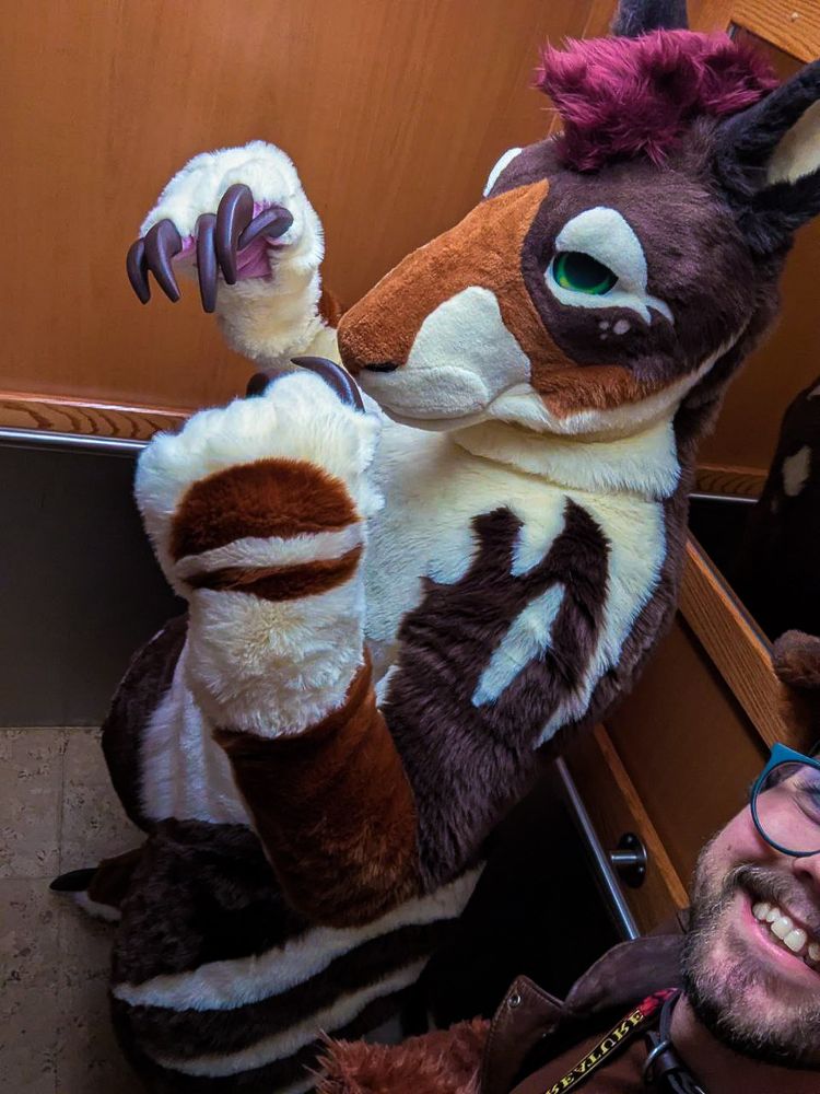 A kangaroo fursuiter dancing in an elevator, taken by a friend who's partially visible.