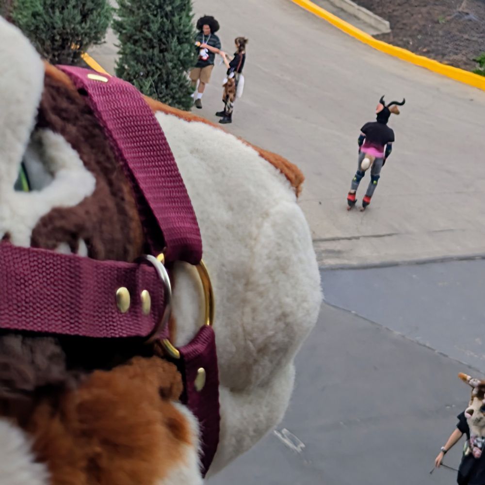 A kangaroo looking down at an itty bitty rollerblading Nellafrin