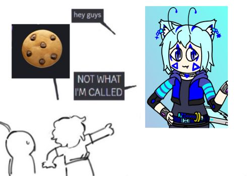 Meme of "NOT WHAT I'M CALLED" after someone completely misspells my name.