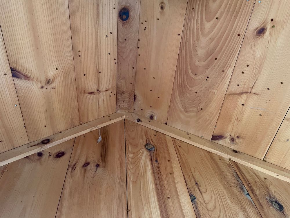 Ladybugs all over a wood ceiling.