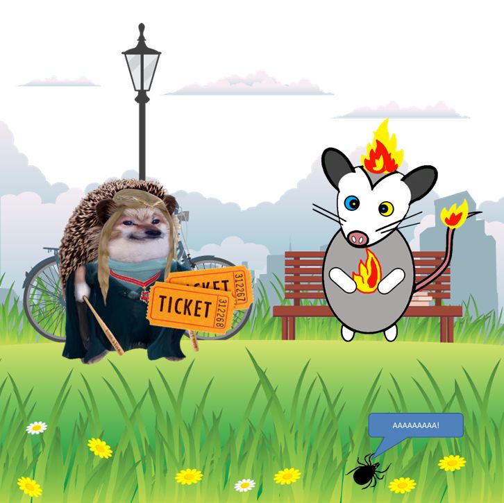 Comment image