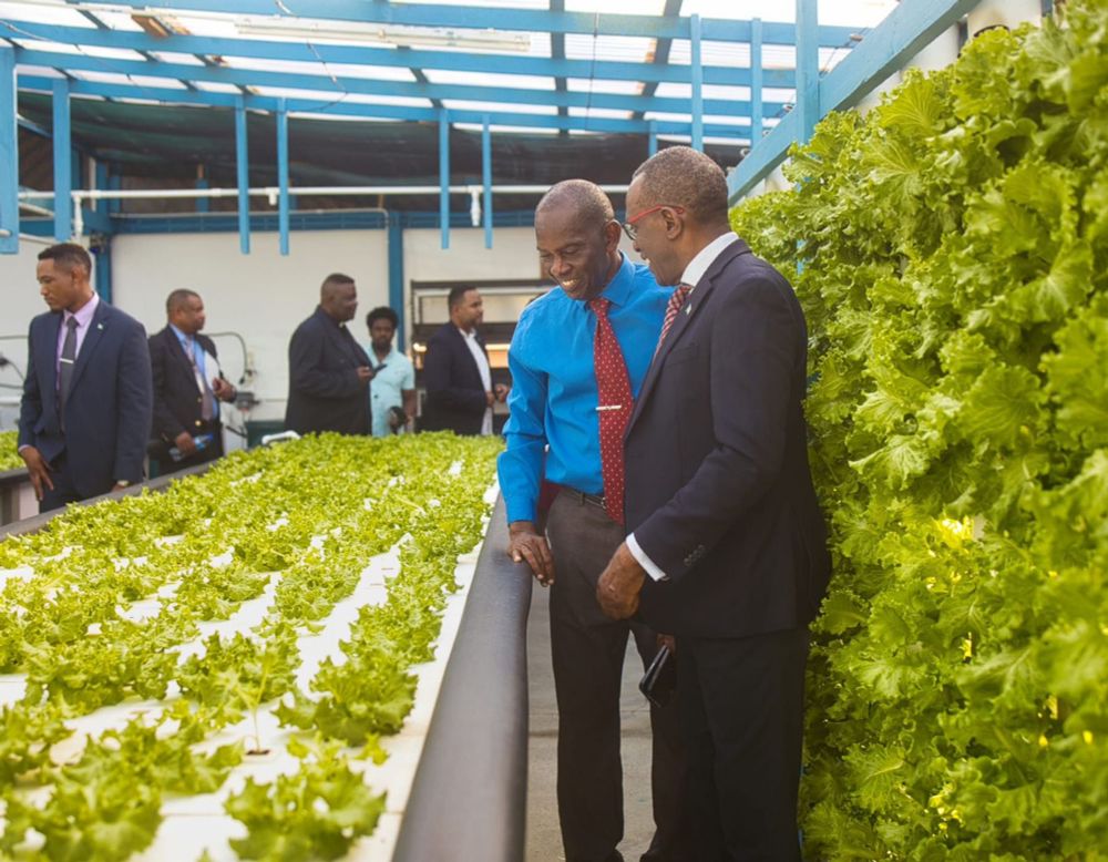 Aquaponics Facility Led by Persons with Disabilities Officially Opens
