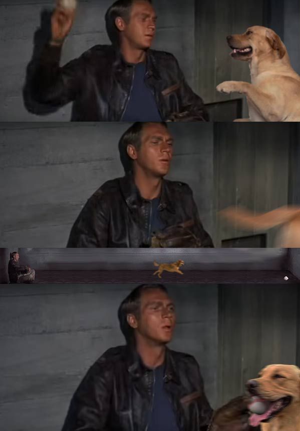 The Great Escape cooler scene, but the ball is being thrown for a dog to chase.