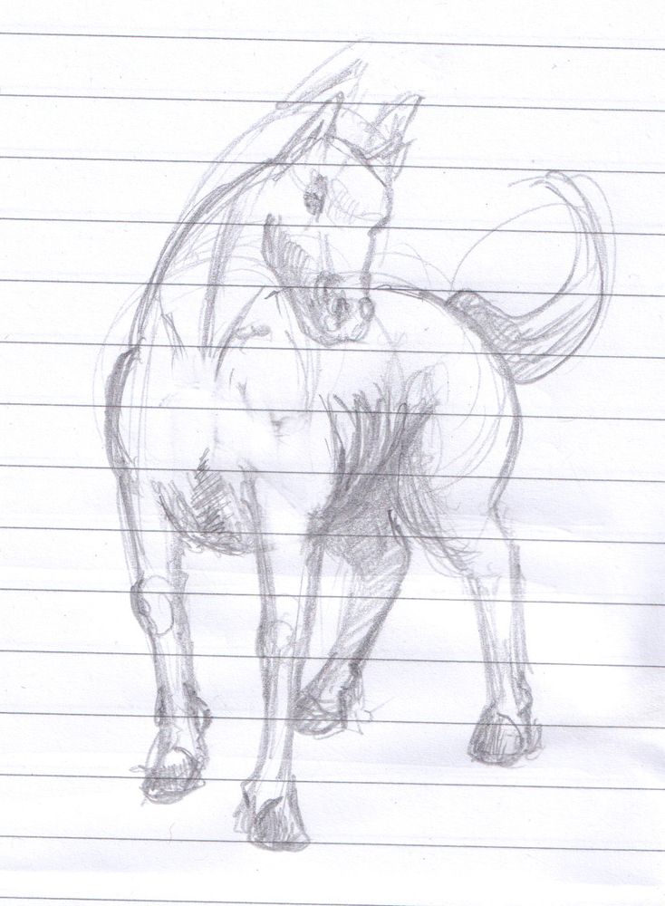 A quick pencil sketch on a shorthand pad of my versioj of a "mind horse" which is a horse drawn entirely from memory as proposed by @kitaki cinematic universe @attorneytrash.bsky.social 