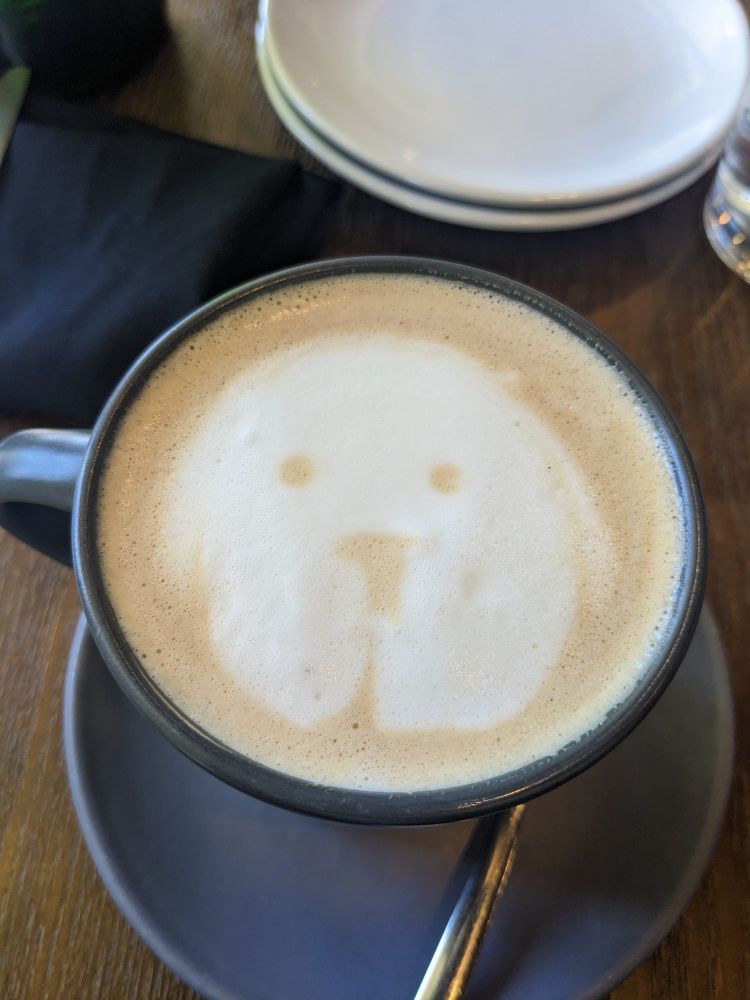 Puppy latte art
