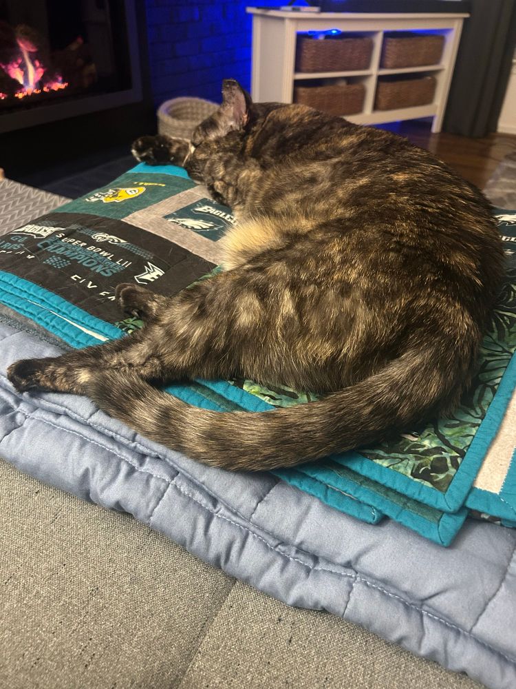 A cat lying on a blanket on a couch with a fire in the fireplace in the background.