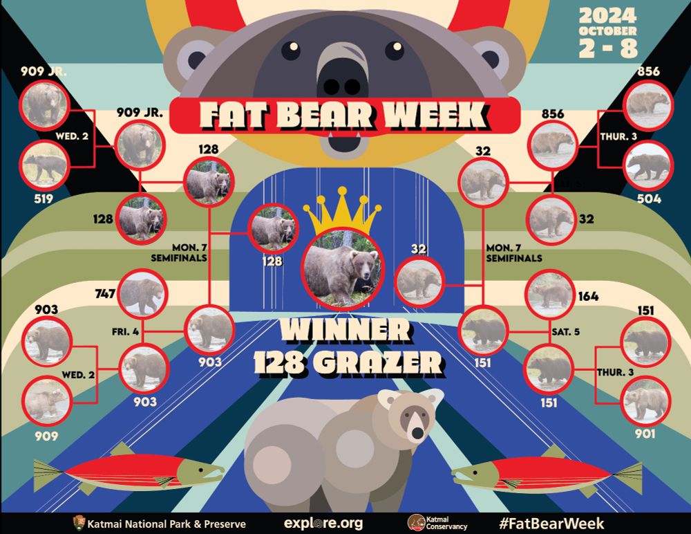 Chart shows the Fat Bear Week results, which was won by the female bear named Grazer, who defeated male bear named Chunk in the final round.