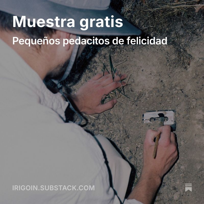 irigoin.substack.com
