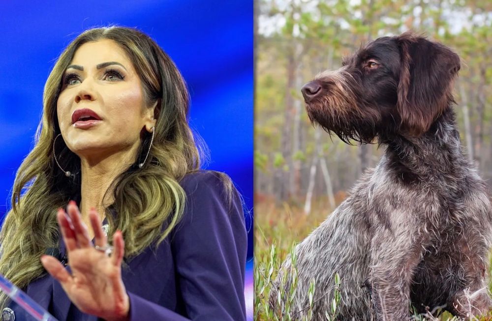 Kristi Noem and her dog Cricket.