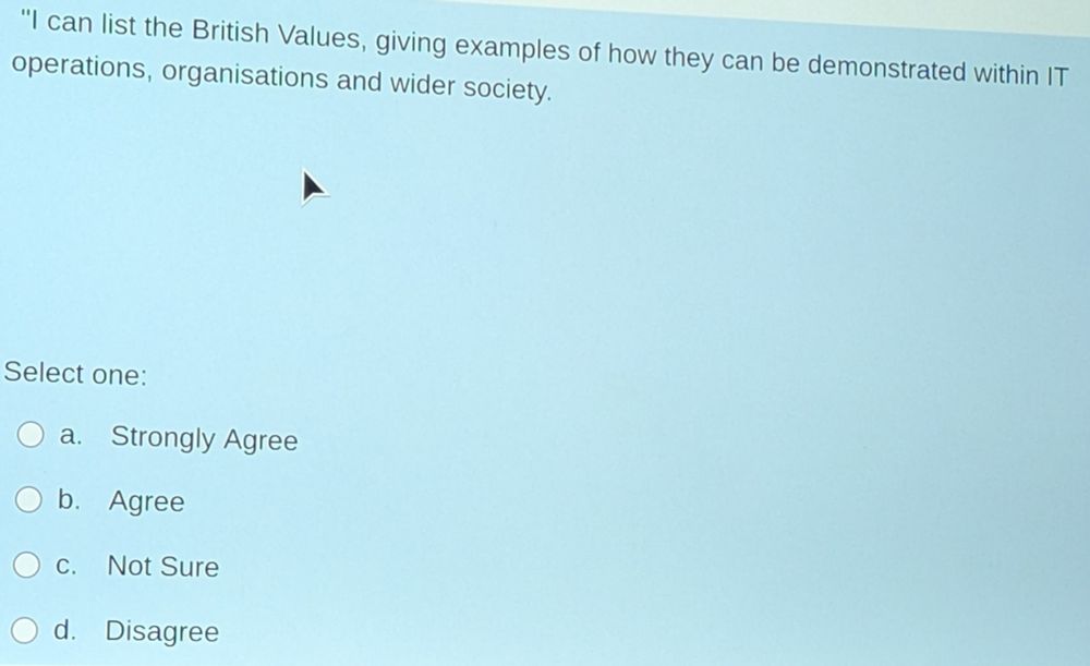 A test on whether you strongly agree or disagree with the statement 

"I can list the British values, giving examples of how they can be demonstrated within IT operations, organisations and wider society"