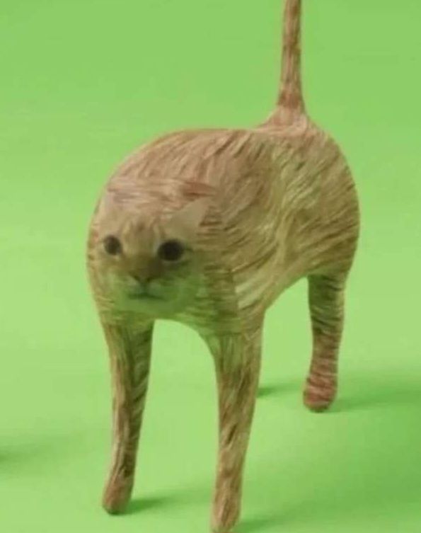 Fucked up kitty