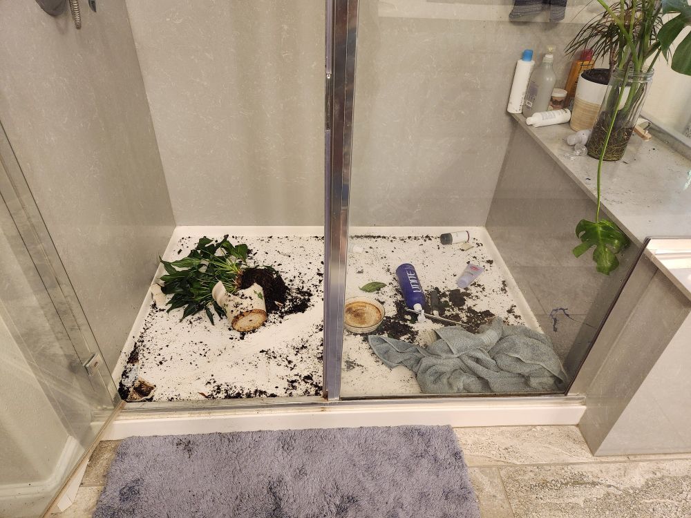 Plant broken in the shower, dirt everywhere 