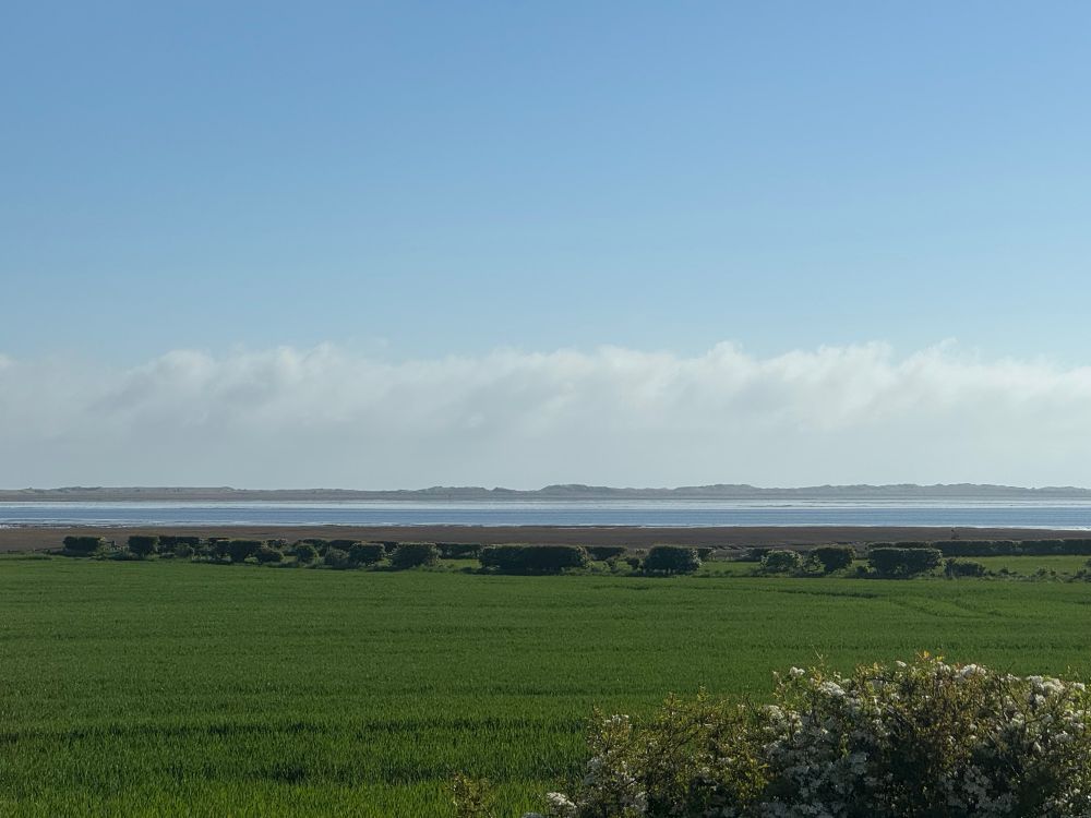A picture of the island of Lindisfarne in the distance, with green fields in the foreground and blue sky overhead. 