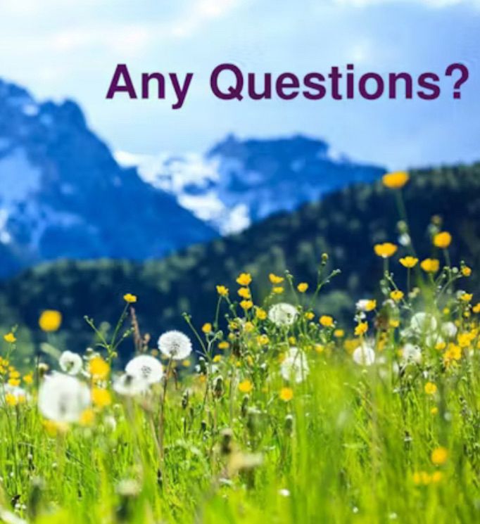 Slide showing a mountain meadow landscape with the text-Any questions?