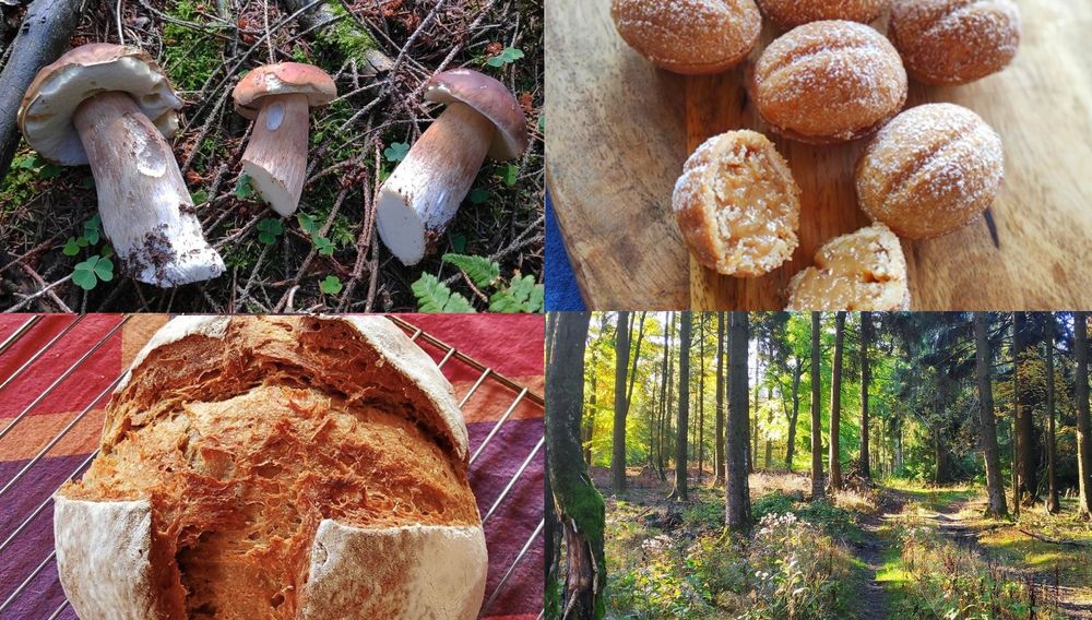 Collage of 4 photos: Cep mushrooms on a forest floor, oreshki cookies, sourdough bread, a green forest path in dappled
sunshine.
