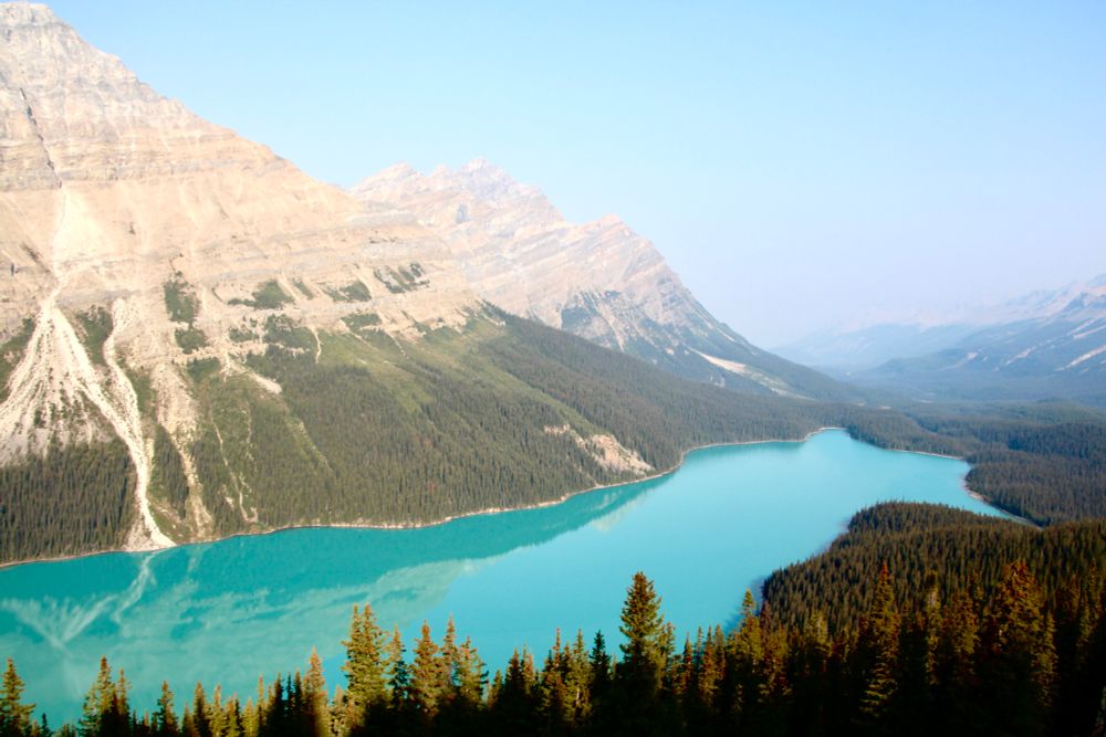 Peyto Lake in the Rocky Mountains, specifically the Waputik Range of Banff National Park, Alberta. 🇨🇦