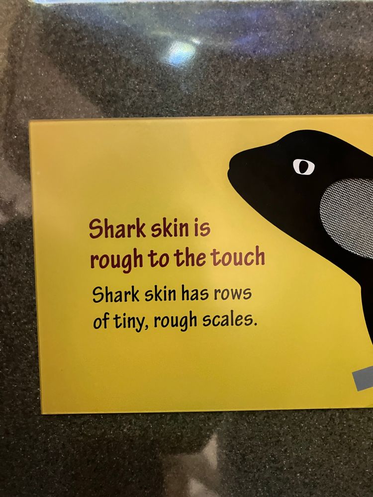 Aquarium label: Shark skin is rough to the touch
Shark skin has rows of tiny, rough scales.