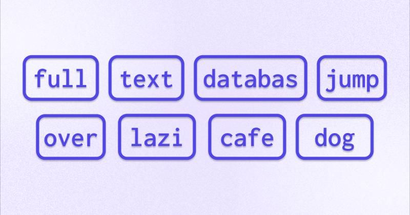 From Text to Token: How Tokenization Pipelines Work