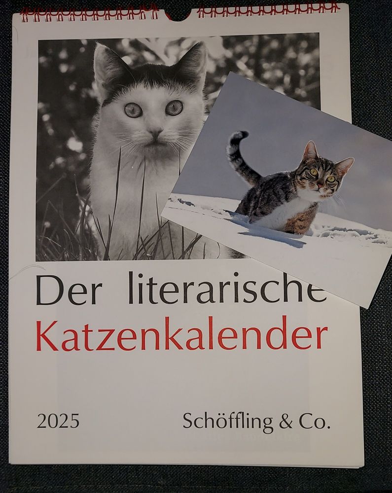 Foto des ca. DinA4 literarischen Katzenkalenders mit der Abbildung einer ultrasüßen Katze auf einer Wiese in schwarz weiß,
anbei die Karte von einer süßen Tigerkatze im Schnee (in Farbe)