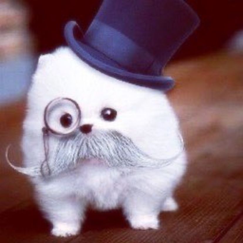 fancy dog with monocole and top hat