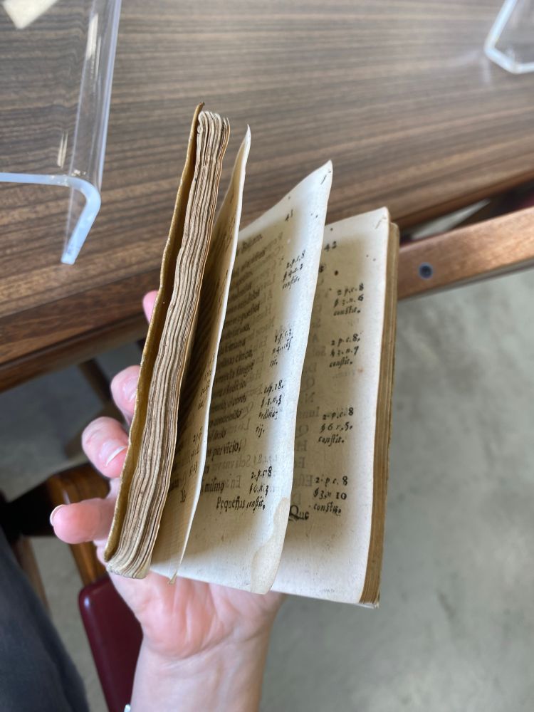 a picture of me holding an octavo from the 17th century — soledades de buçaco by bernarda ferreira de lacerda — with the spine cradled by the palm of my hand while my fingers lightly catch the leaning covers and pages to reveal roughly where the book “wants” to open. 