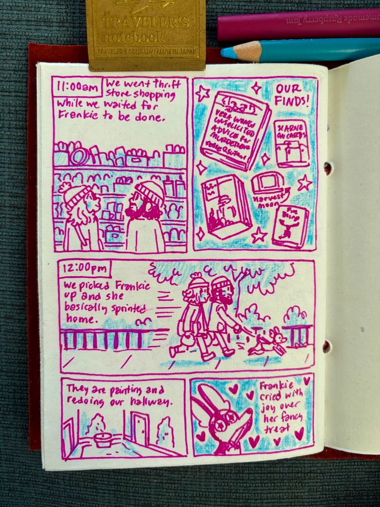 11 am - shows us walking around the thrift store and a collection of book finds as well as the game Harvest Moon. 12 pm - we picked up Frankie and she basically sprinted home. Then shows that they are redoing and painting our hallway. Last panel shows Frankie happy with a fancy treat. 