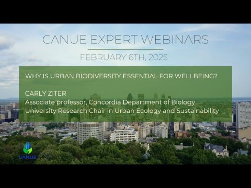 Why is urban biodiversity essential for well-being?