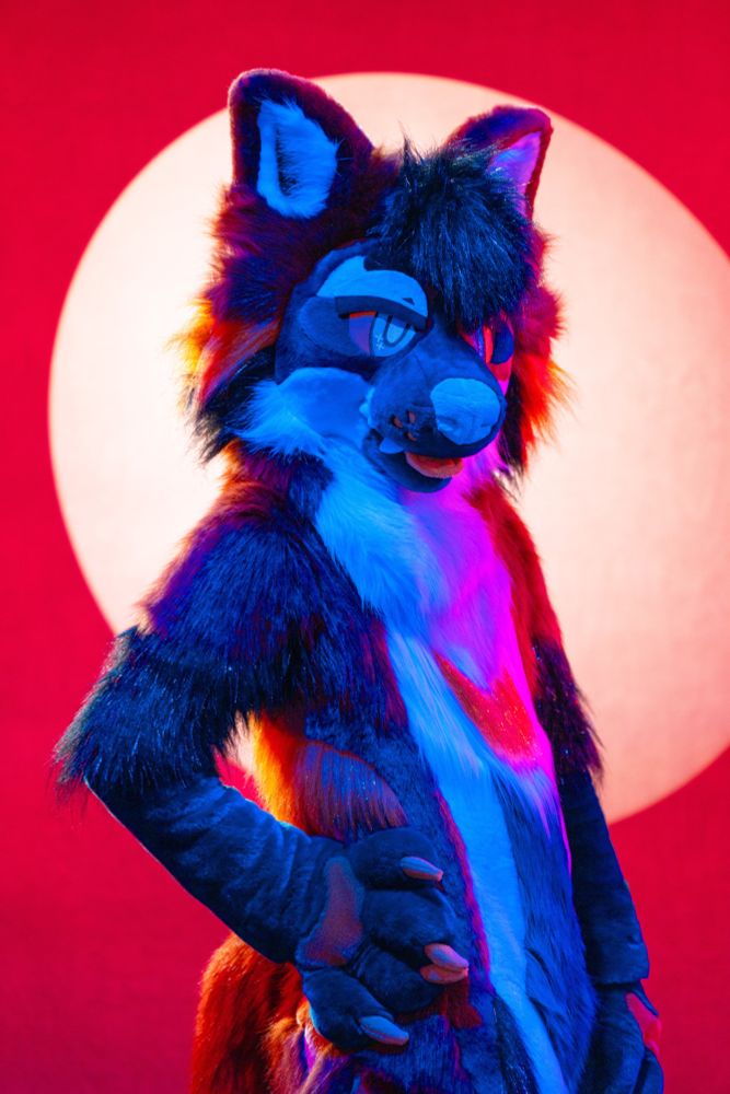 fursuiter standing with one handpaw on hips, slightly turned. the body is cast with a strong blue light, causing most colors to look blue or black. the background is a striking red, with a large warm-white oval centered around the upper body.