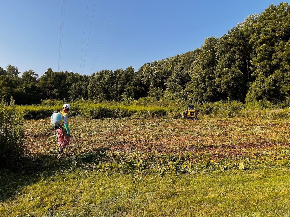 A restoration ecologist applies herbicide to cut stumps, while a brush mower is visible in the background. Recently cut brush is visible.