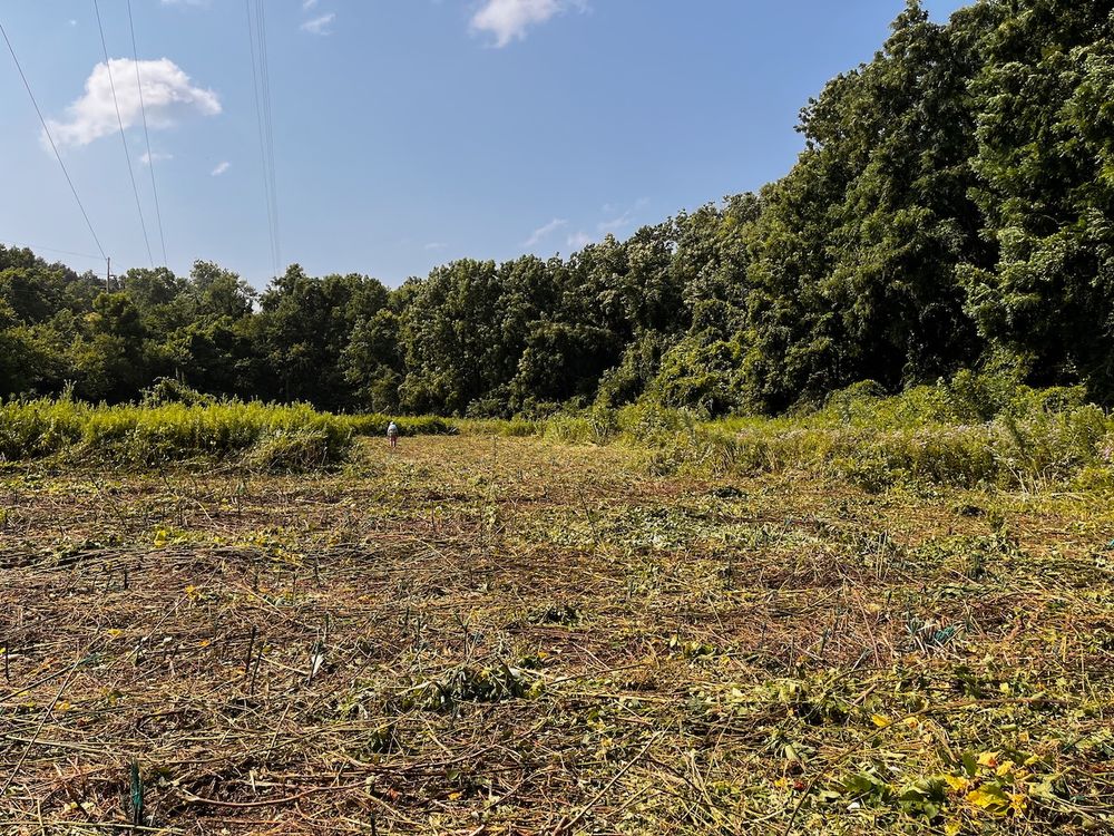 A partially mowed, somewhat overgrown prairie reconstruction is visible. In the distance, a restoration ecologist applies herbicide.