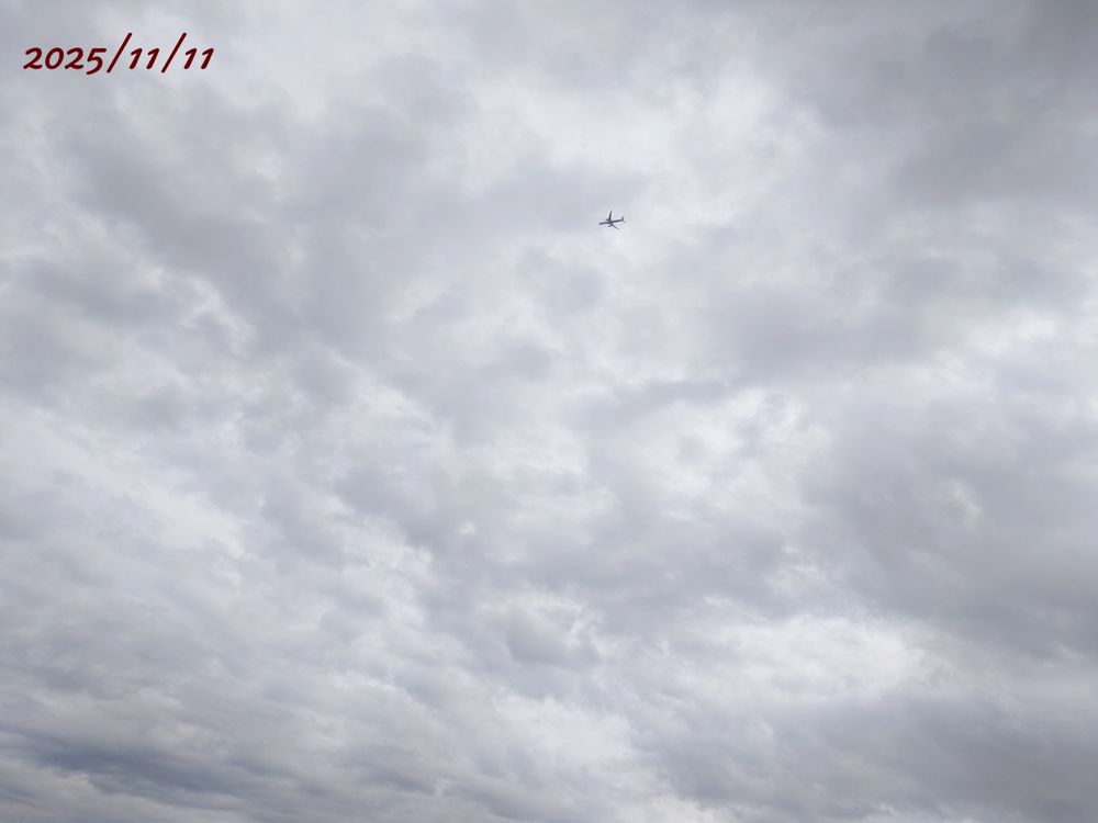 今日（2025/11/11）の朝の空。太陽は厚い雲のせいか見えないです。