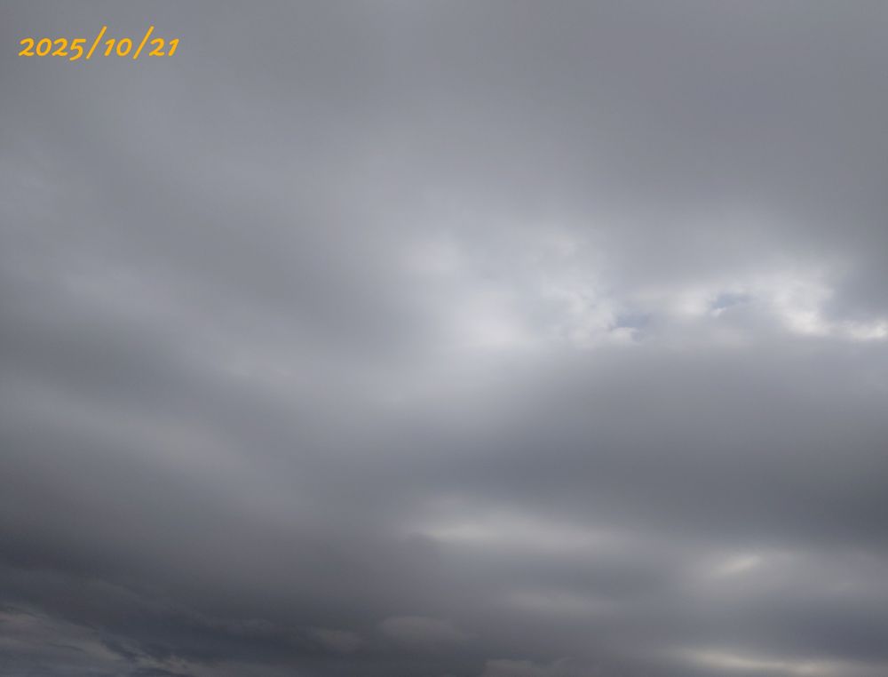 今日（2025/10/21）の朝の空。曇りで太陽はなく暗いです。