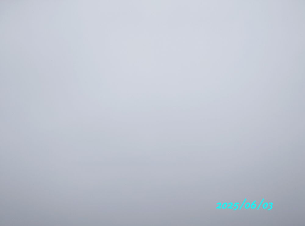 今日（2025/06/03）の朝の空。いつもと方角は違うけど。雨なので暗い。