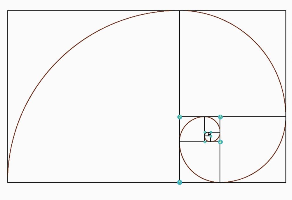 Dibujo de la espiral áurea construida a partir de la evolución de un rectángulo dorado (o áureo)