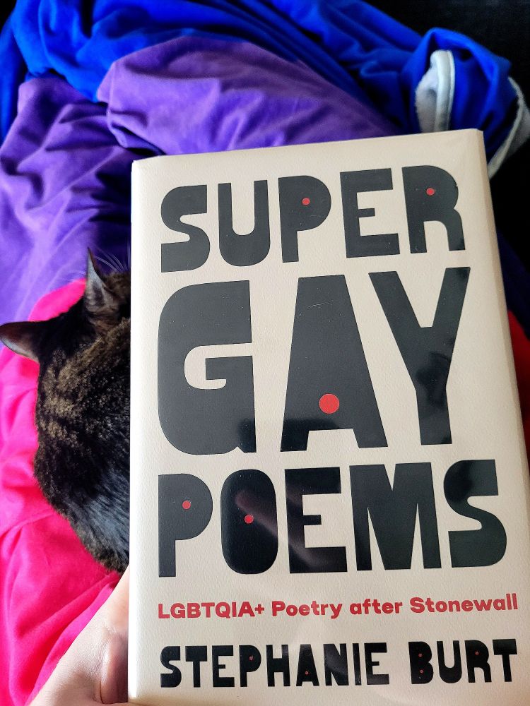 Bi colored blanket. Cat. Book cover of Super Gay Poems: LGBTQIA+ Poetry After Stonewall by Stephanie Burt.