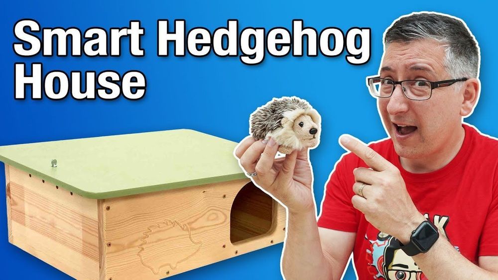 I Built A Hedgehog Smart Home… and Set Up a Live Spy Cam!