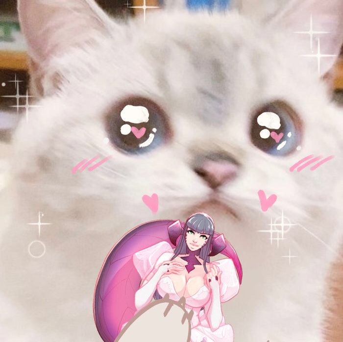 An edited sparkly heart cat picture holding up a doll of my OC Rei a face three fem au ra with large croc tail