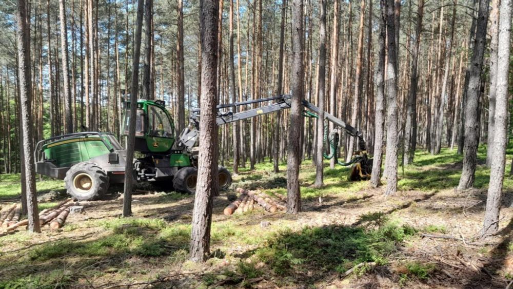 V lesích je nutné používat biologicky odbouratelné oleje. Jinak hrozí pokuta  - Ekolist.cz