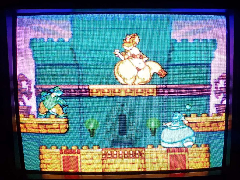 Photo of a CRT, displaying Rivals of Aether styled sprites of Dragon Duchess, and OCs Tibura and Virimi; on the Pridemoor Keep stage.