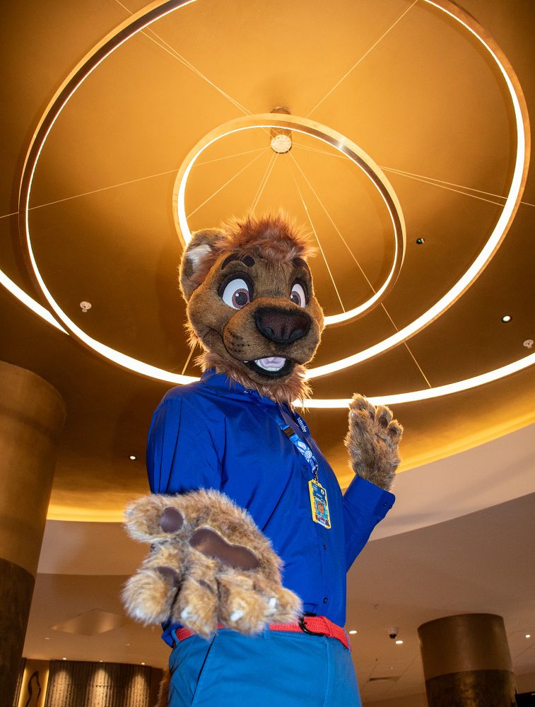 Leo dressed in blue with a red belt (owo) under a stylised ceiling light.