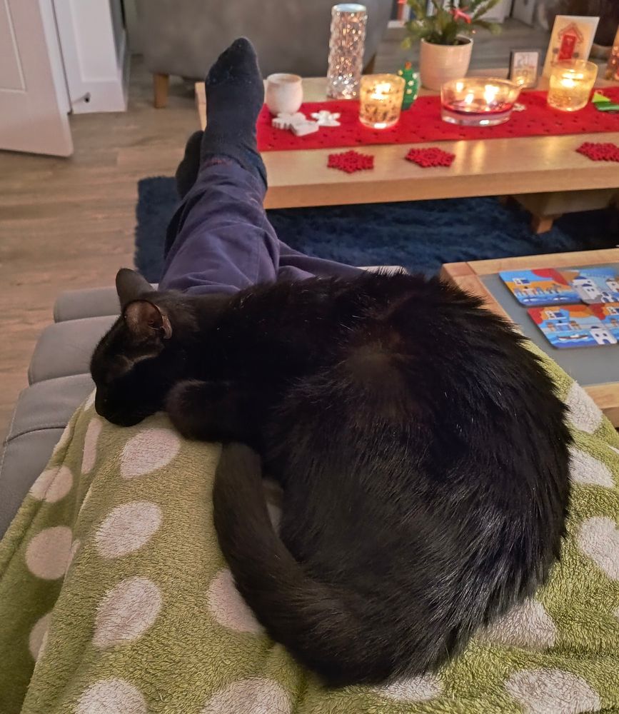 a black cat curled up on a green blanket on my lap