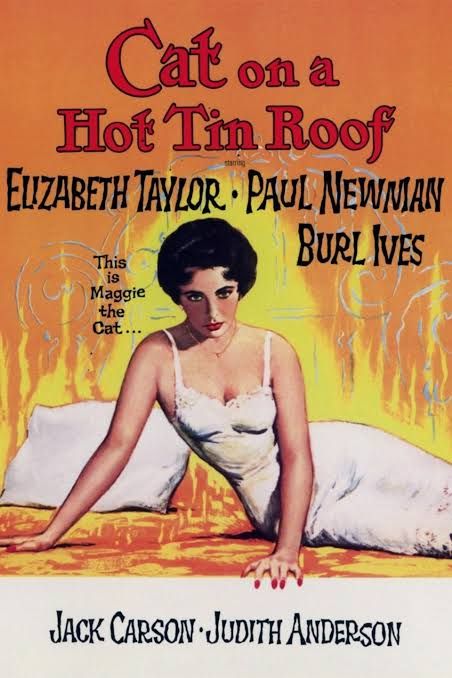Movie poster for "Cat on a hot tine roof".